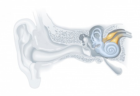 auditory nerve damage repair