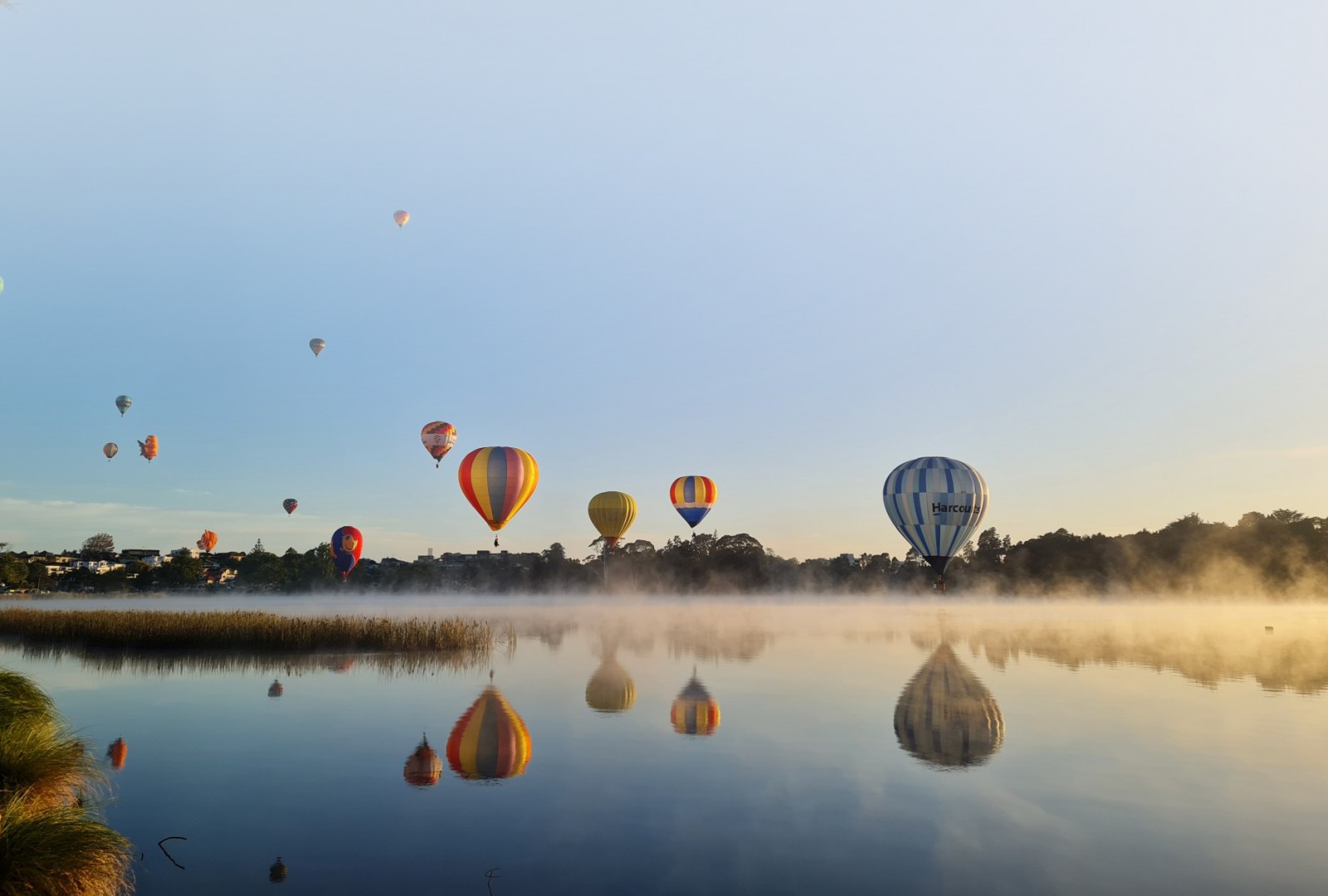 Hamilton hot air balloons